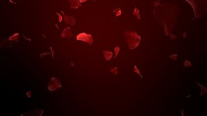 Футажи для видеомонтажа" Падающие красные лепестки роз"