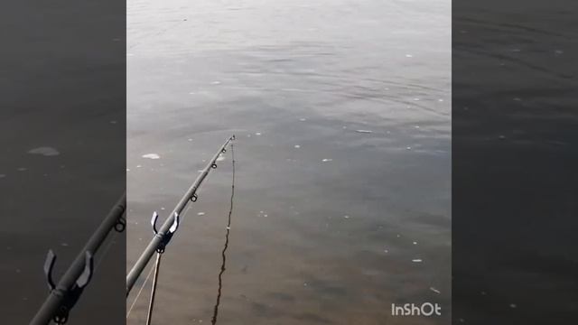 Река Ока смотреть онлайн