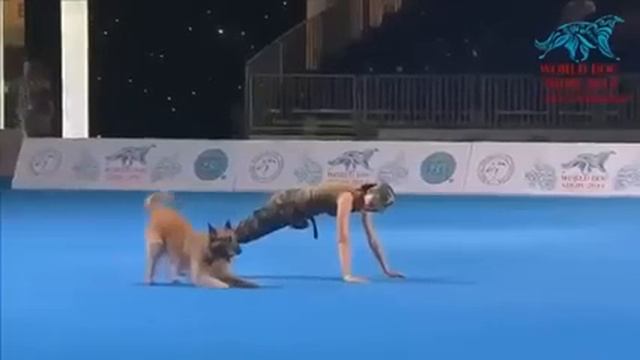 танцы с собакой. Класс смотреть онлайн