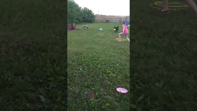Девочки пытаются отобрать у Лаки мячик смотреть онлайн