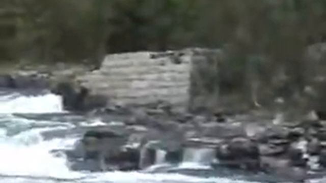 Кемпинг. Обхожу окрестности... Норвегия. Едем от водопада Вёрингсфоссен к Осло. 20.08.09, 06:57 смотреть онлайн