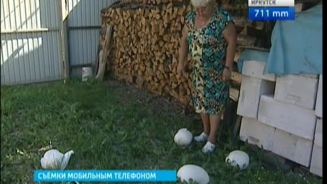 Эфир от 15.08.2014 (20:35) смотреть онлайн
