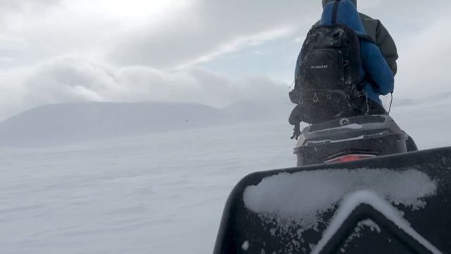 Лапландский заповедник. смотреть онлайн