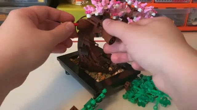 LEGO 10281 Bonsai Tree Review (Botanical Collection) смотреть онлайн
