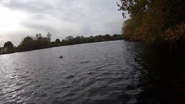 Малоизвестная, но ОЧЕНЬ УЛОВИСТАЯ приманка Musky Mania Squirrely Burt. У вас есть такая? смотреть онлайн
