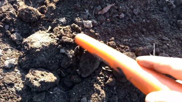 Перший вихід з Minelab Vanquish 540 Pro Pack смотреть онлайн