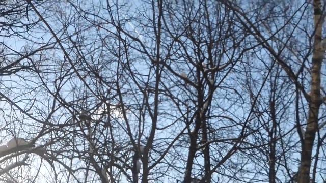 Январский рейд (ч.4 - вертолётные кули) смотреть онлайн