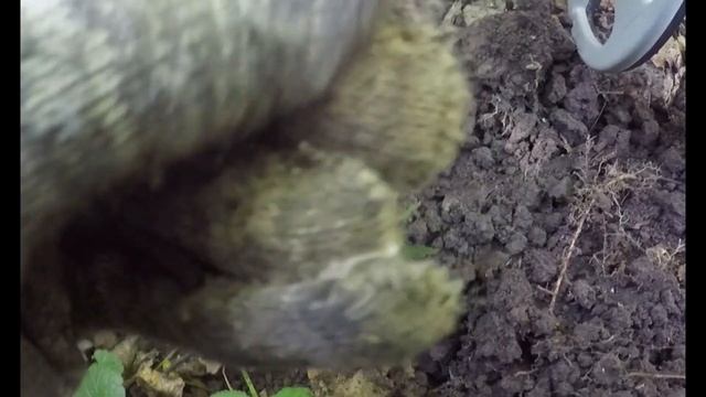 Старинные клады и где их искать!? смотреть онлайн