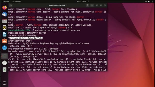 MySQL 101 - Episode 02 : Install MySQL Server on Linux (deb) (English) смотреть онлайн