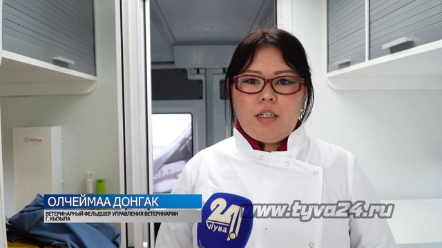 Стерилизация домашних животных стала более доступной смотреть онлайн