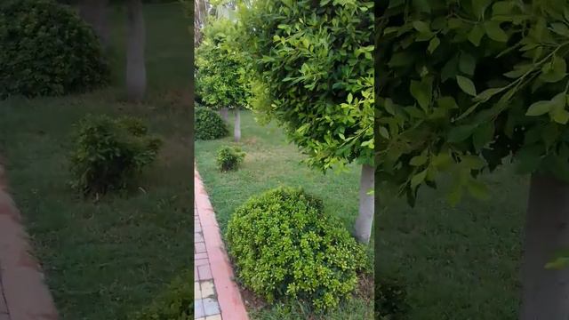 Senza Inova Beach 4 / Турция  Алания  Конаклы / Дорога на пляж