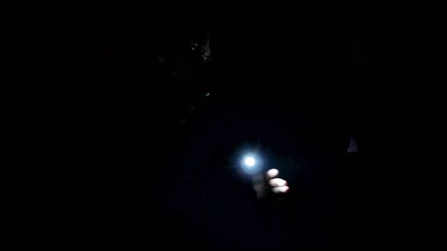 Подземные ходы заброшенного костёла смотреть онлайн