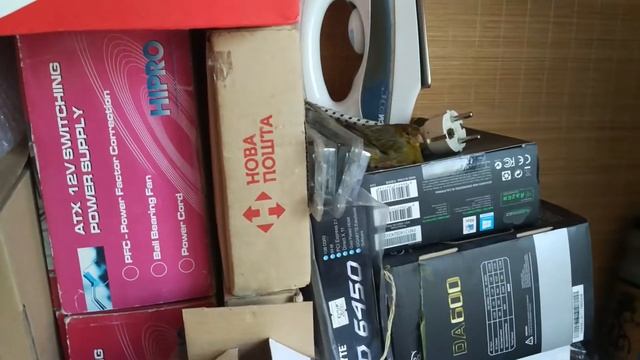 Канарейка высиживает яйца смотреть онлайн