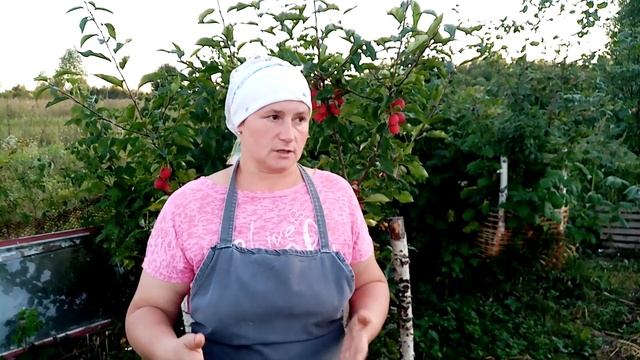 Почему куры НЕ НЕСУТСЯ. Упала яйценоскость - причины. смотреть онлайн