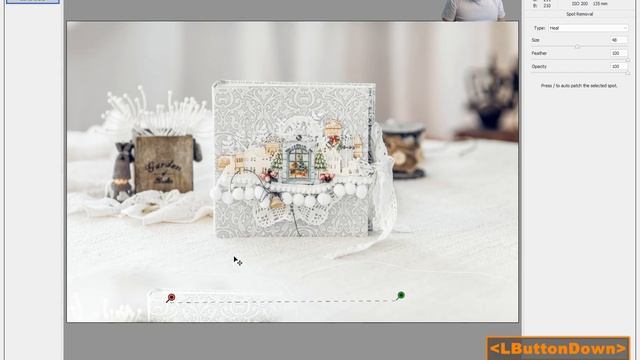 Spot Removal - единственный инструмент ретуши в Camera Raw И Lightroom смотреть онлайн