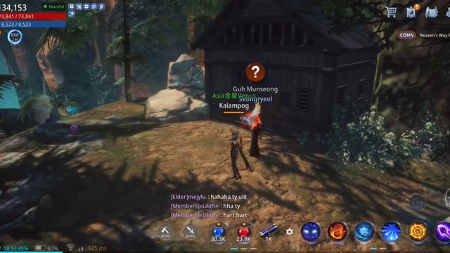 Mir4- Arcanean Remedy