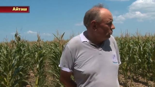 В агрофирме "Дагагро" смотреть онлайн