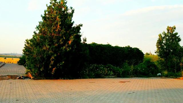 Красивое Кафе Аляска. Город Мариуполь 2022 смотреть онлайн