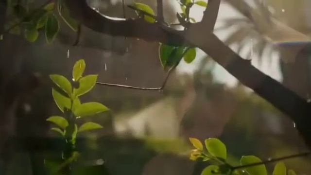 ВЕДИ МЕНЯ, ДУХ БОЖИЙ, НА ГОЛГОФУ... смотреть онлайн