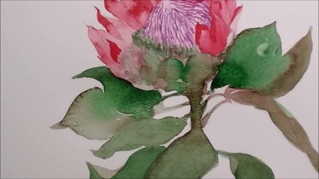 King protea смотреть онлайн