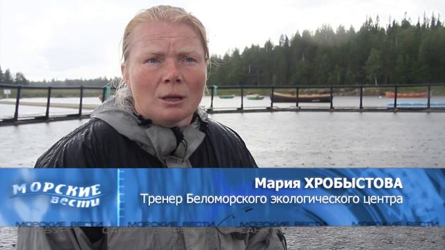 Девочки и дельфины смотреть онлайн