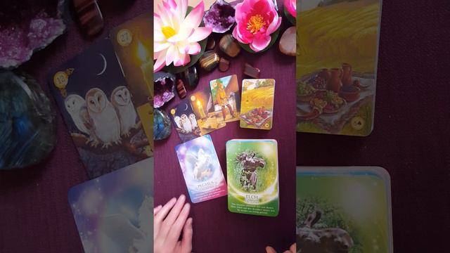 Энергии и аозможности с началом недели! Карта дня 5 февраля 2024! смотреть онлайн