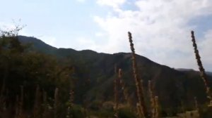 Азербайджан, Кусары, село Верхний Тагирджал