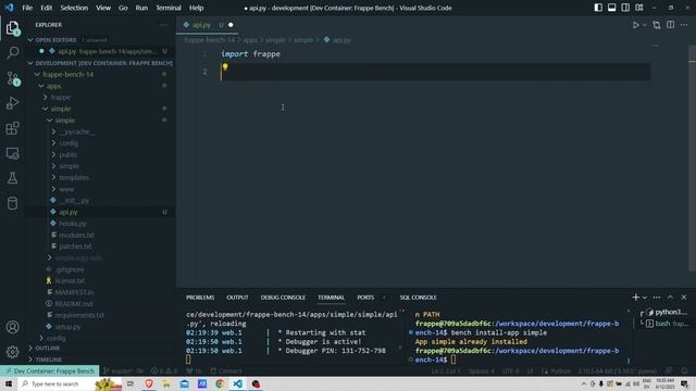 Create your very first API with Frappe in Python смотреть онлайн