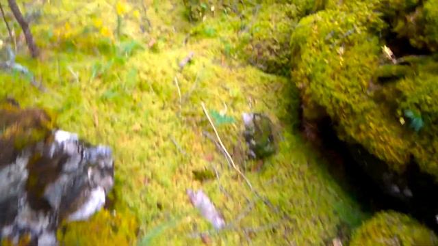 Аршан. Бурятия смотреть онлайн