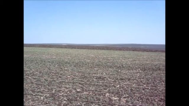 Всходы гороха Сватово Pottinger Terasem култер на 04 05 2017 смотреть онлайн