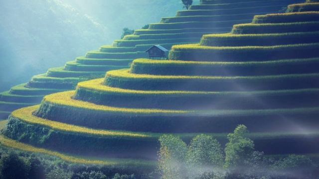 Relax.Music for deep sleep.relaxing music to relieve stress. Расслабляющая музыка для снятия стресс смотреть онлайн