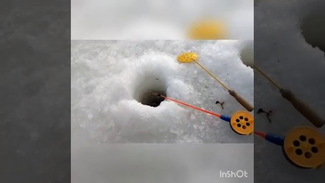 Зимняя февральская рыбалка жесть крупный улов:) смотреть онлайн