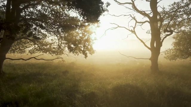 Волшебные слова-пароли. Медитация Изобилия смотреть онлайн