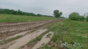 Таких больших щук мы ещё не ловили! рыбалка на Иртыше с.Тугалово