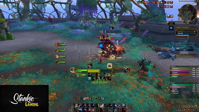 Beast Mastery Builds for Pre-patch - Kill Command spam | Dragonflight смотреть онлайн