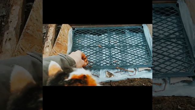 Ступенька к реке за 115 руб. / использование композитной арматуры смотреть онлайн