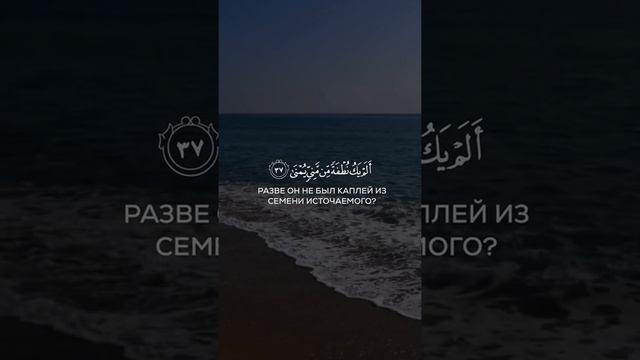 красивое чтение корана | чтец: Саид Деббах смотреть онлайн