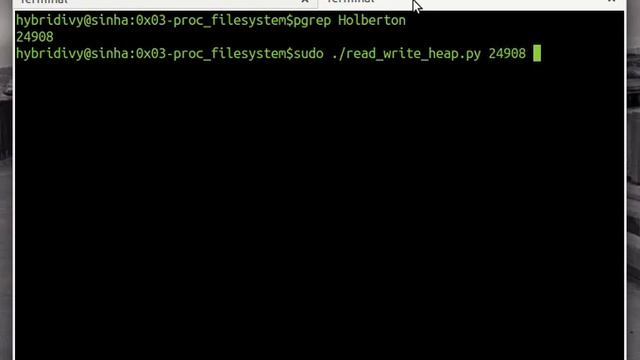 Writng to the heap memory of a running Process смотреть онлайн