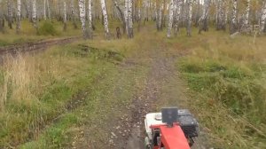 Чистим новый участок от деревьев.Мотоблок МТЗ на шинах ГРУБЕРГ с возом веток по бездорожью.