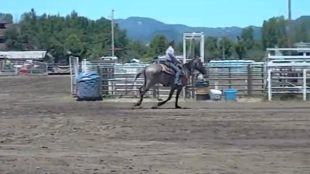 Acero, Kiger Mustang Gelding for Sale *SOLD* смотреть онлайн