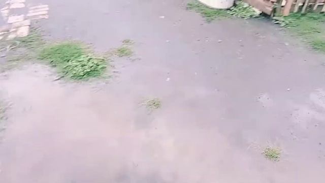 Мопед альфa I Первое видео! смотреть онлайн