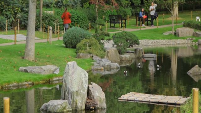 Lessons-62 смотреть онлайн