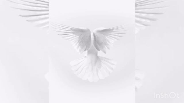 Вход в потоковое состояние смотреть онлайн