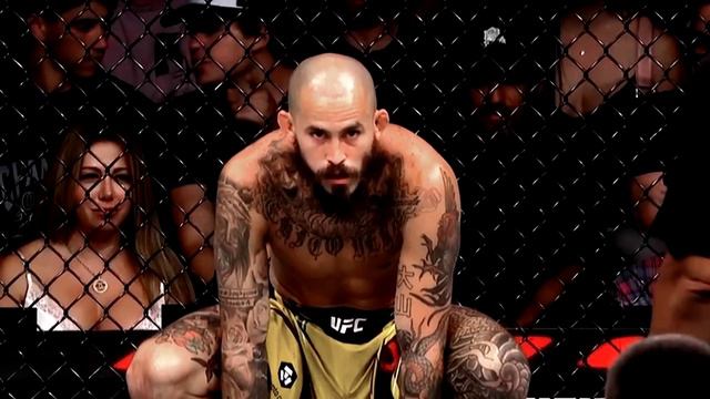 KNOCKOUT!!! What Really Happened (Marlon Vera vs Dominick Cruz) смотреть онлайн