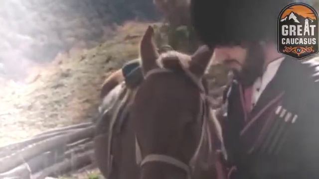 Честь высше жизни умри стоя чем жить на коленях смотреть онлайн