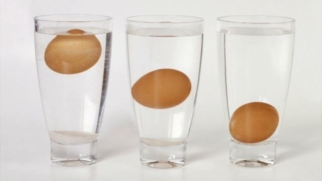 Как выбрать яйца? Радио программа 