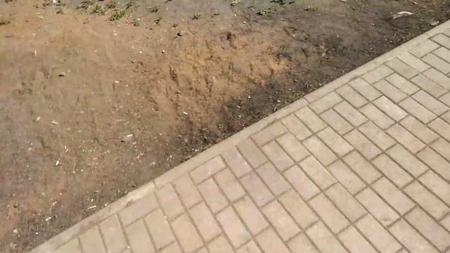 Парк «Победа» на следующий день после открытия смотреть онлайн