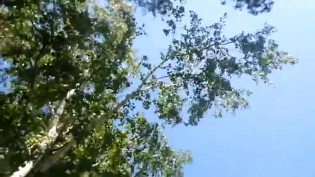 Лидия Майорова - Вы шумите, березы... смотреть онлайн