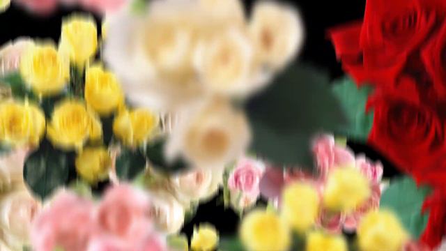 love-flower-frame-and-transitions-06-FOOTAGE смотреть онлайн