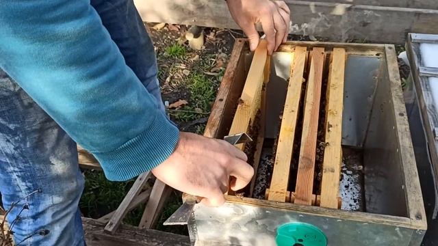 Как объединять пчелиные семьи осенью что бы не подрались смотреть онлайн